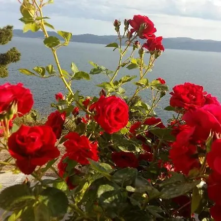 Apartamento View On Th Sea Pisak